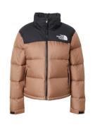 THE NORTH FACE Välikausitakki '1996 Retro Nuptse'  ruskea / musta / va...