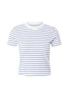 Lee Paita 'CROPPED TEE'  sininen / valkoinen