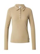 QS Paita  khaki