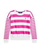 Polo Ralph Lauren Collegepaita  tumma pinkki / valkoinen