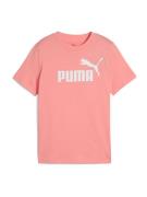 PUMA Paita 'Ess No. 1'  pitaija / valkoinen