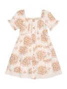 LEVI'S ® Mekko  kastanjanruskea / pastellinvihreä / pastellioranssi / ...