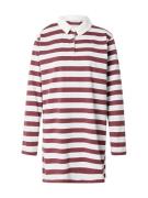 Miss Selfridge Mekko  burgundin punainen / valkoinen