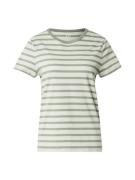 GAP Paita  khaki / offwhite