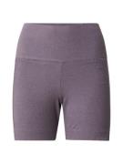 ADIDAS SPORTSWEAR Urheiluhousut  harmaa / kivenharmaa