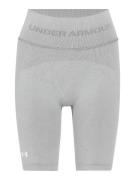 UNDER ARMOUR Urheiluhousut  harmaa / valkoinen