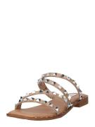 STEVE MADDEN Pistokkaat 'SKYLER'  hiekka / hopea
