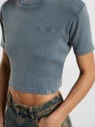 DICKIES Paita 'PLENTYWOOD'  savunsininen