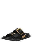 STEVE MADDEN Pistokkaat 'Arch-E'  musta
