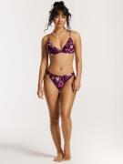 Shiwi Bikini  lila / syklaami / neonvioletti / roosa