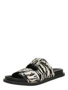 STEVE MADDEN Pistokkaat 'Agent-L'  musta / valkoinen