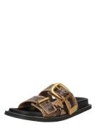 STEVE MADDEN Pistokkaat 'Arch-E'  ruskea / vaaleanruskea / musta