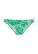 VENICE BEACH Bikinihousut  vihreä / valkoinen