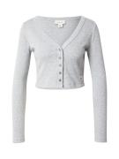Calvin Klein Jeans Pusero  vaaleanharmaa
