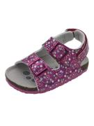 Chicco Sandaalit 'Fiaba'  keltainen / jade / fuksia / roosa