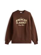 TOMMY HILFIGER Collegepaita  ruskea
