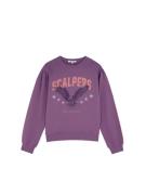 Scalpers Collegepaita ' '  lila