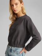 Calvin Klein Jeans Collegepaita  harmaa