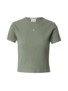 SCOTCH & SODA Paita  kuusi