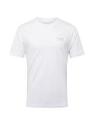 ARMANI EXCHANGE Paita  harmaa / valkoinen