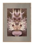 Vintage Reflection Cc3 Patterned ChiCura