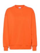 Sweatshirt Orange Enkel Studio