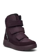 Urban Snowboarder Purple ECCO