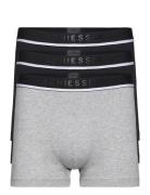 Shorts Grey Schiesser