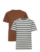 Basic 32 -T-Shirt Ss Brown Minymo