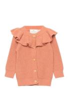 Tnsolly Collar Knit Cardigan  The New