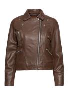 Kaley Leather Biker Brown Jofama