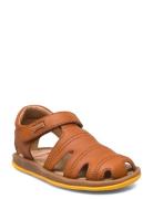 Bicho Fw Brown Camper