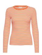 Ludmilla Ls Tee Gots Orange Basic Apparel