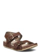 Castleisland 2Strap Dkbrn Brown Timberland