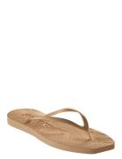 Tapered Pink Sorbet Flip Flop Brown SLEEPERS