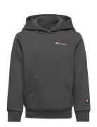 Hooded Sweatshirt Grey Champion