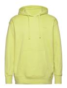 Gant Icon Hoodie Green GANT