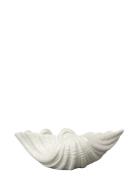 Bowl Shell S White Byon