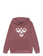 Hmlcuatro Hoodie Burgundy Hummel