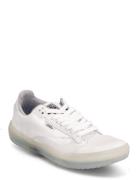 Shoe Adult Unisex Numeric Wid White VANS