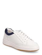 Hailey Leather & Suede Sneaker White Lauren Ralph Lauren