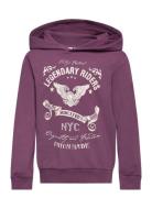 Nkmvugo Ls Sweat Wh Bru O1 Purple Name It