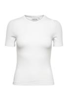 Modal Rib Crew Neck Tee White Calvin Klein