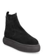 Hagar Bootie Black Steve Madden