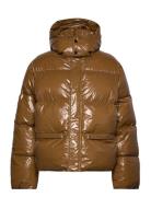 Golden Hour Jacket Brown H2O Fagerholt