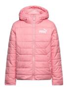 Ess Hooded Padded Jacket Pink PUMA