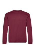 Basic Longsleeve T-Shirt Burgundy Tom Tailor