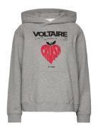 Evata Mo Concert Crush Grey Zadig & Voltaire