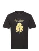 Rare Plants Tee Black Stan Ray