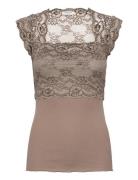 Silk T-Shirt W/ Lace Brown Rosemunde